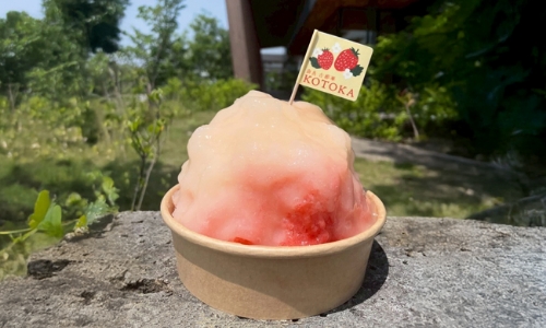 てのべたかだや