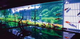 プロジェクションマッピングにより投影された景色の中を錦鯉が泳ぐ「水中四季絵巻」。